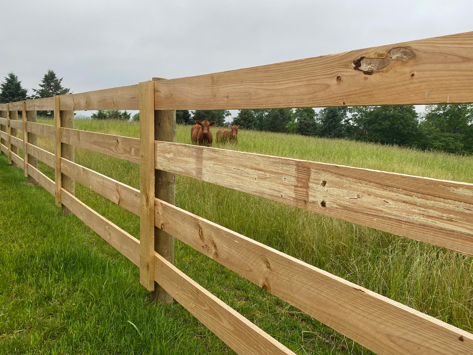 Fences | Swiss Valley Fence