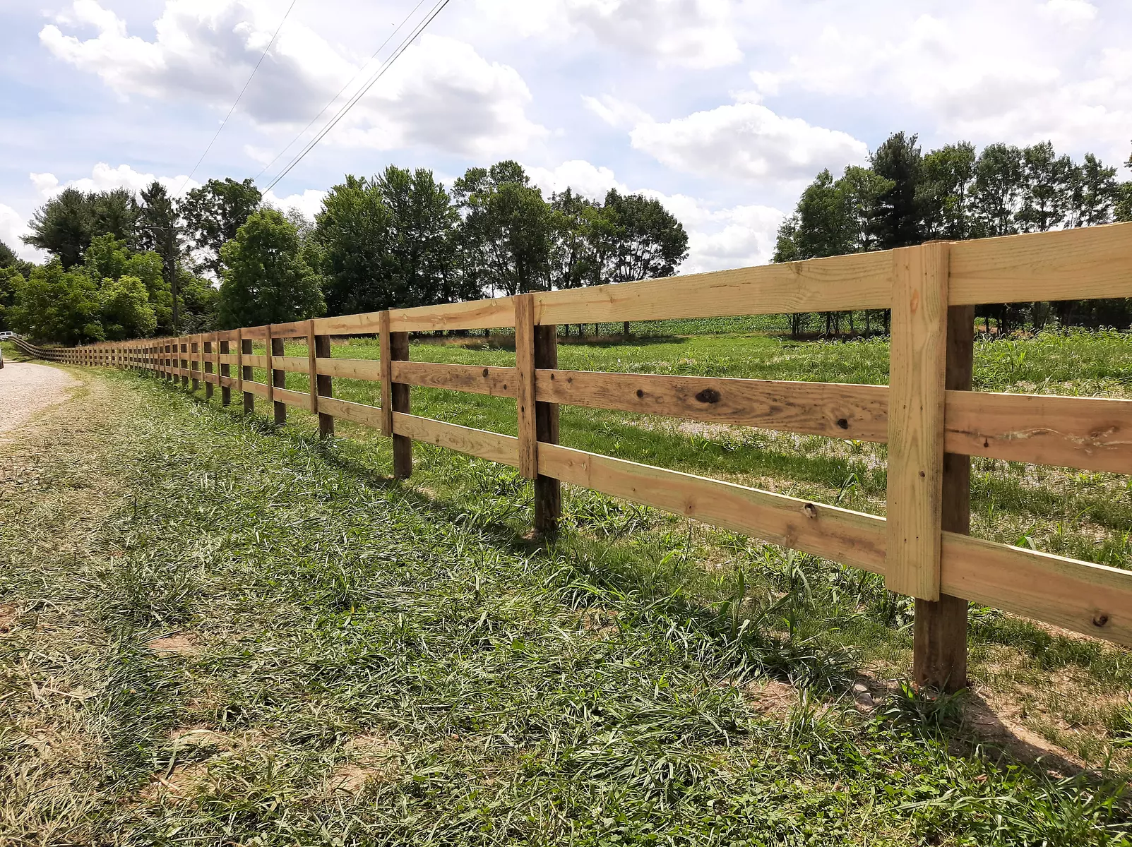 Wood Rail Fence